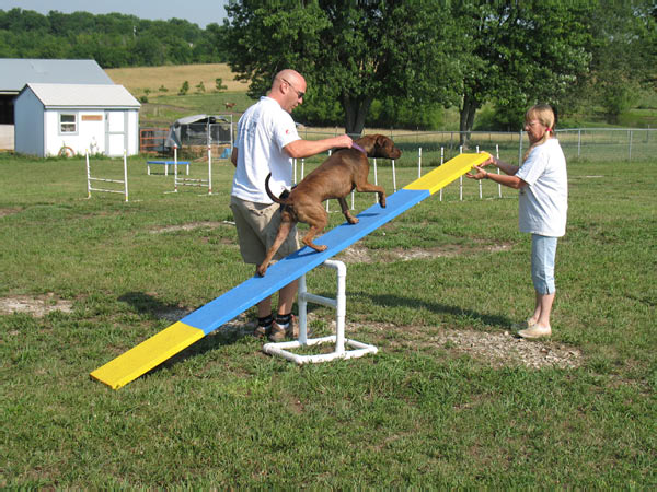 Cornhole Tourney July 06 075