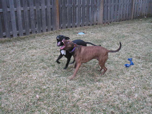 Big 12 Tourney 08 077