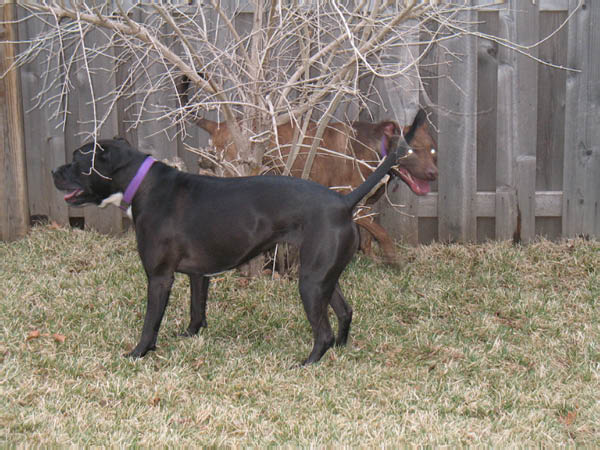 Big 12 Tourney 08 104