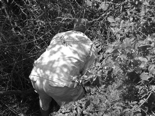 Phil's 41rst Birthday 013